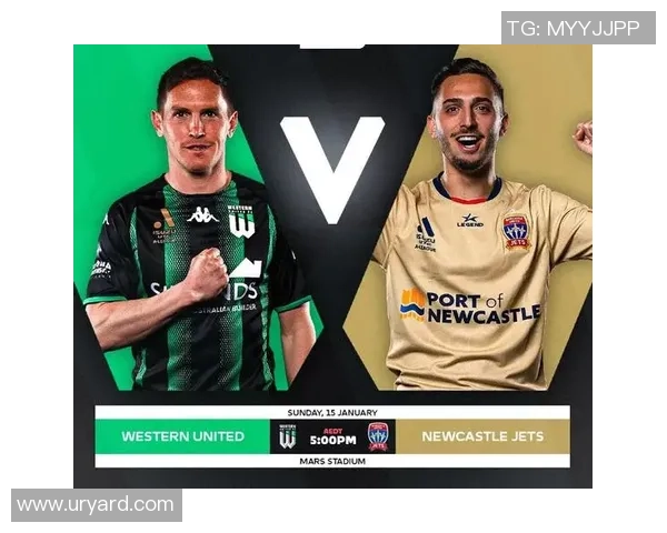 深圳排球队以73分领跑城市联赛积分榜展现强劲实力